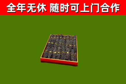 桂阳县回收海参